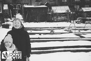 Snowy day at Crimbles allotment