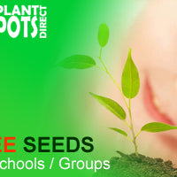 Free Seeds for Schools & Groups