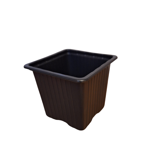 8cm Square squat pot - Black