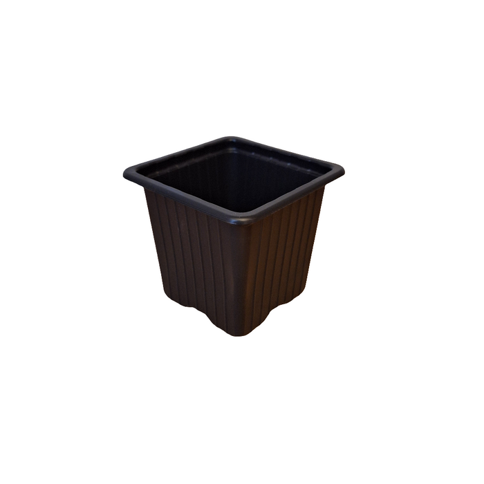 7cm Square squat pot - Black