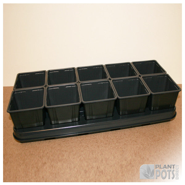 11cm Square plant pot set - 10 pots