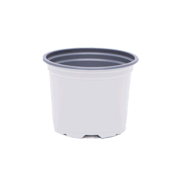 12cm Coloured Round Pots - White