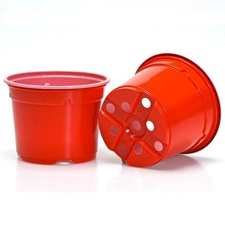 12cm Coloured Round Pots - Red