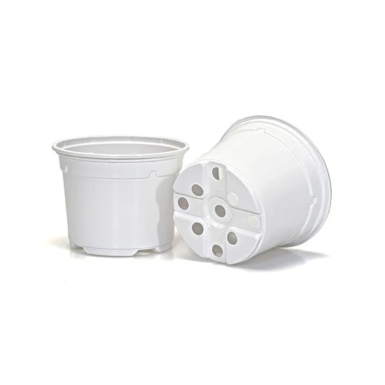 9cm Coloured Duo 5° Low Pot - White