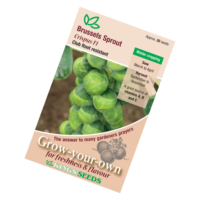 Brussels Sprout Crispus F1 Seeds
