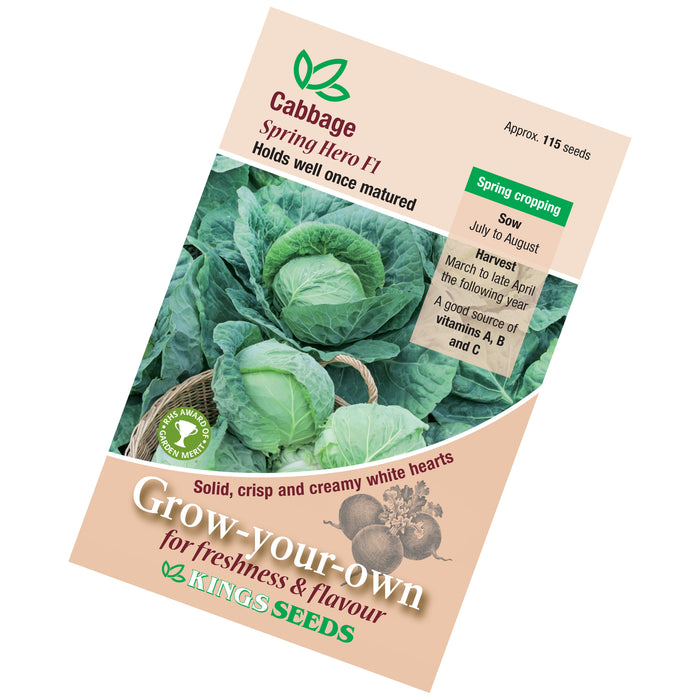 Cabbage Spring Hero F1 Seeds