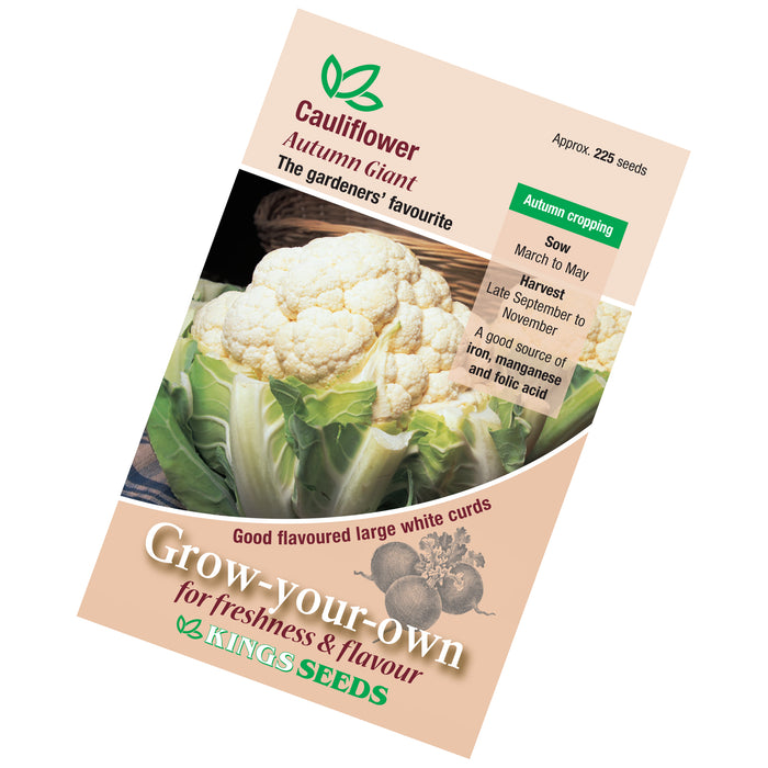 Cauliflower Autumn Giant seeds