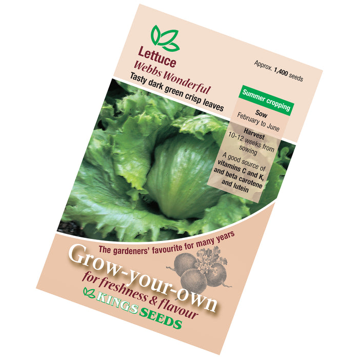 Lettuce Webbs Wonderful seeds