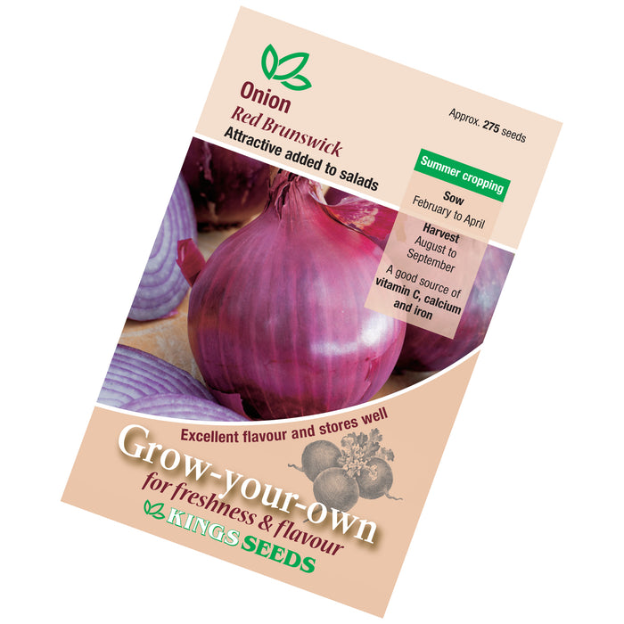 Onion Red Brunswick seeds