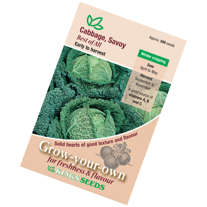 Cabbage Savoy Best of All seeds