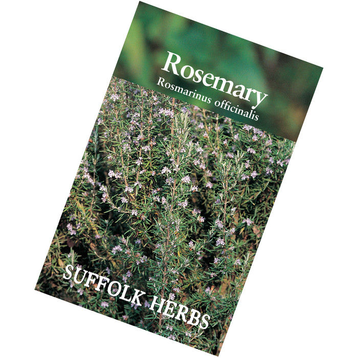 Rosemary Seeds