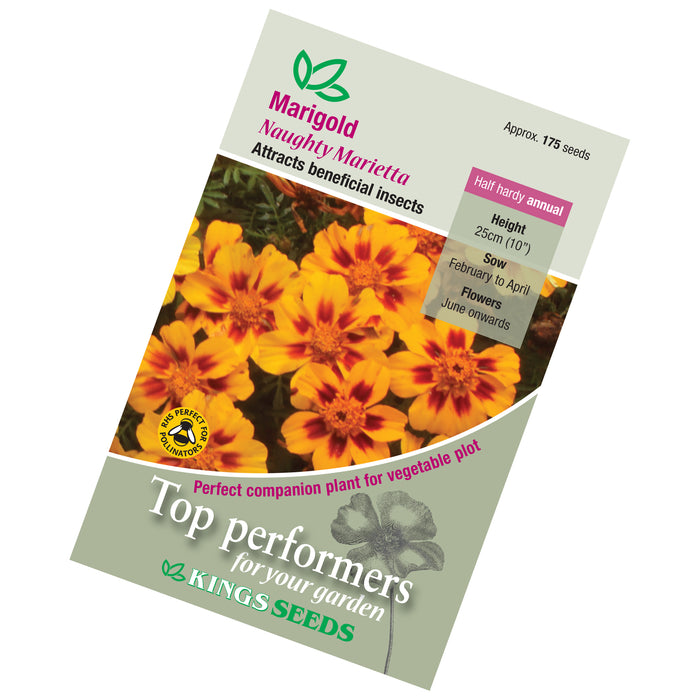 Marigold French Naughty Marietta Seeds