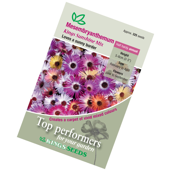 Mesembryanthemum Sunshine Mix Seeds