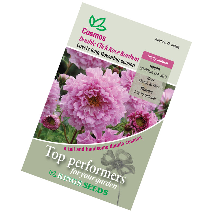 Cosmos Rose Bon Bon Seeds