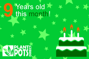 Plant Pots Direct 9th Birthday