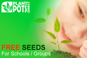 Free Seeds for Schools & Groups