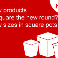 New Square Plant Pots