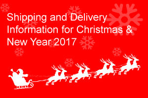 Christmas Delivery 2017