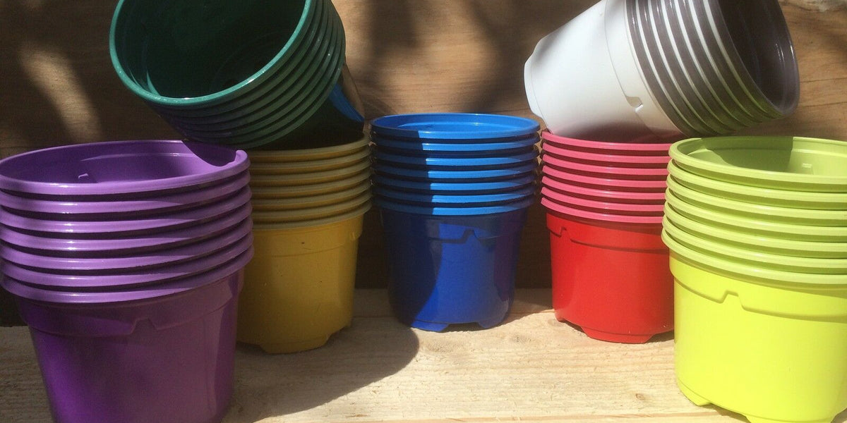 Coloured Pots at Plant Pots Direct