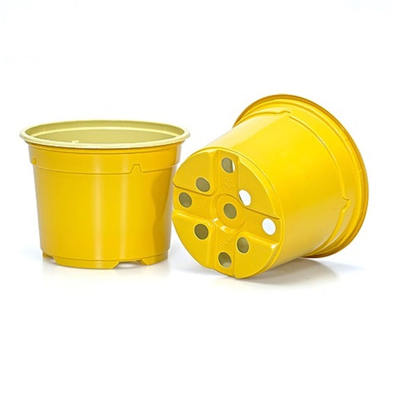 12cm Coloured Round Pots - Yellow