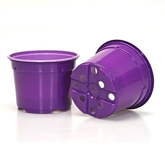 12cm Coloured Round Pots - Purple