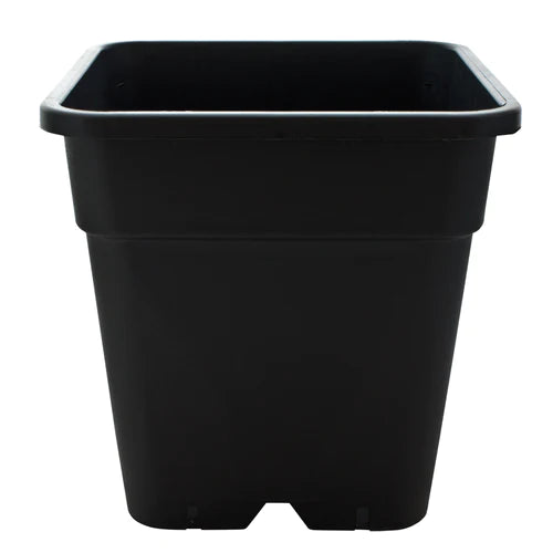 25cm Square Plant Pot Black — Plant Pots Direct