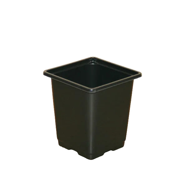 9cm Square plant pot - Black