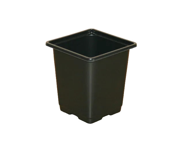 9cm Square plant pot - Black
