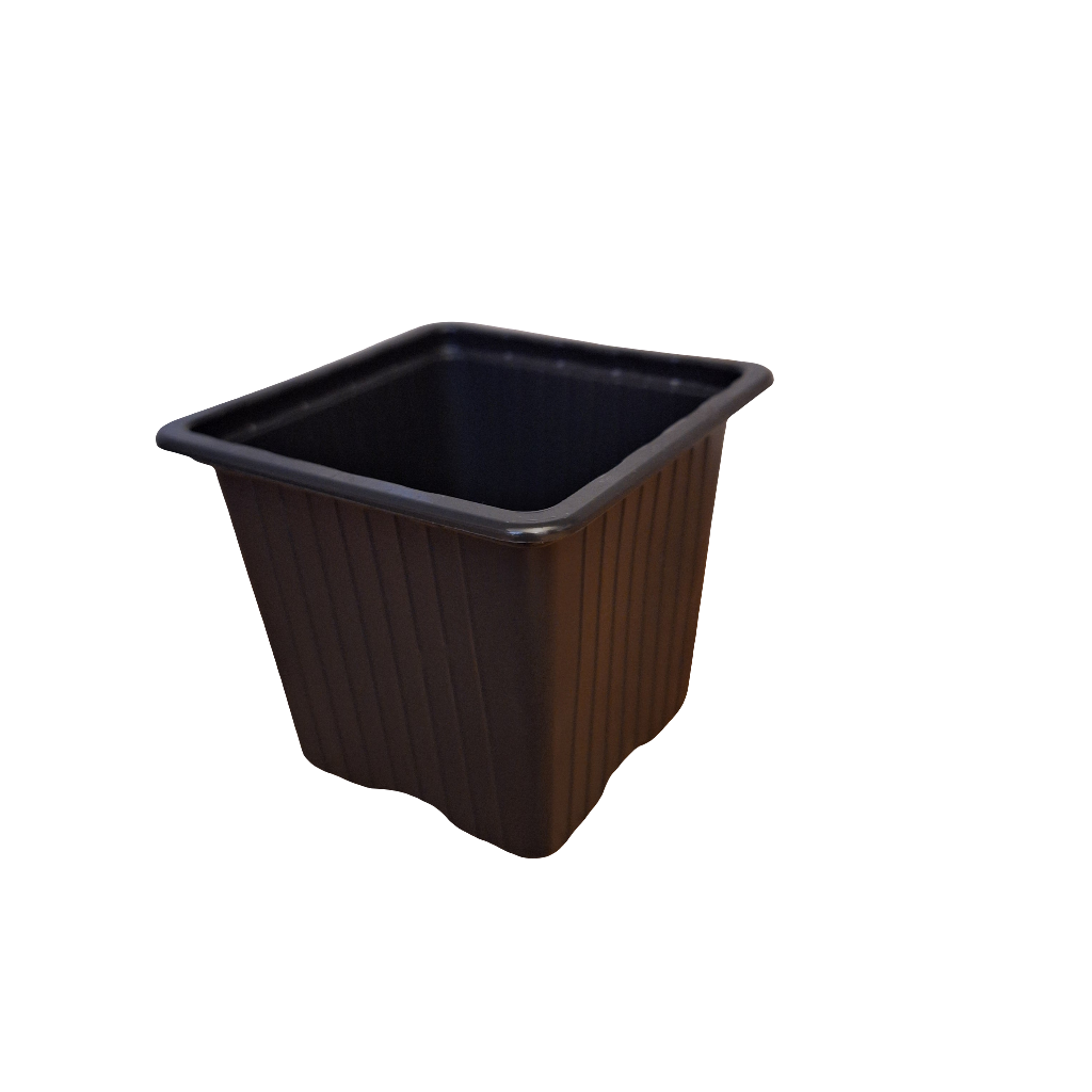 squat plastic plant pots 8cm Square squat pot