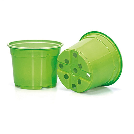 10.5cm Coloured Duo 5° Low Pot - Green (EB) by Soparco