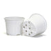 10.5cm Coloured Duo 5° Low Pot - White (05) By Soparco