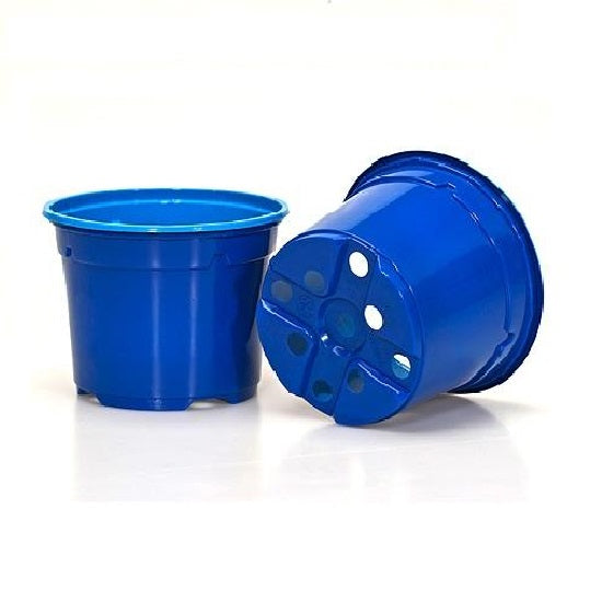 10.5cm Coloured Duo 5° Low Pot - Blue