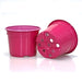 10.5cm Coloured Duo 5° Low Pot - Fuchsia (A1) by Soparco