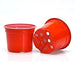 9cm Coloured Pot Duo 5° Low Pot - Red (AB) by Soparco