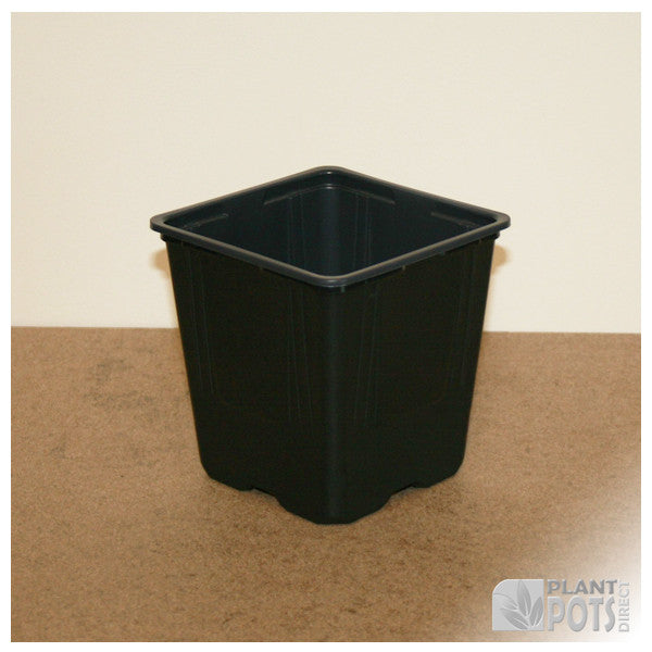 11cm Square plant pot