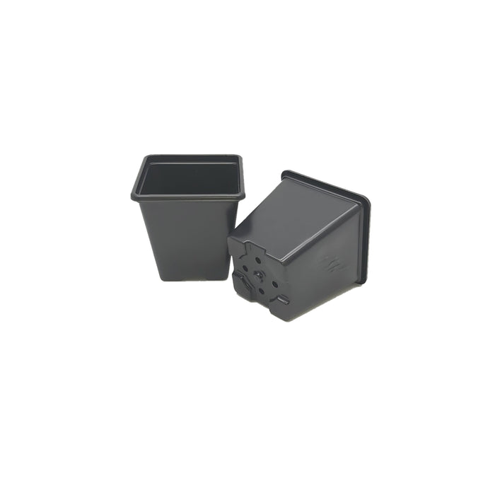 7cm Square plant pot - Black