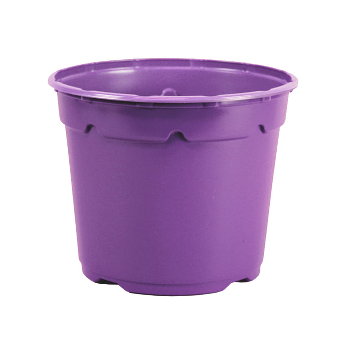 17cm Low Duo Round Plant Pot - Purple