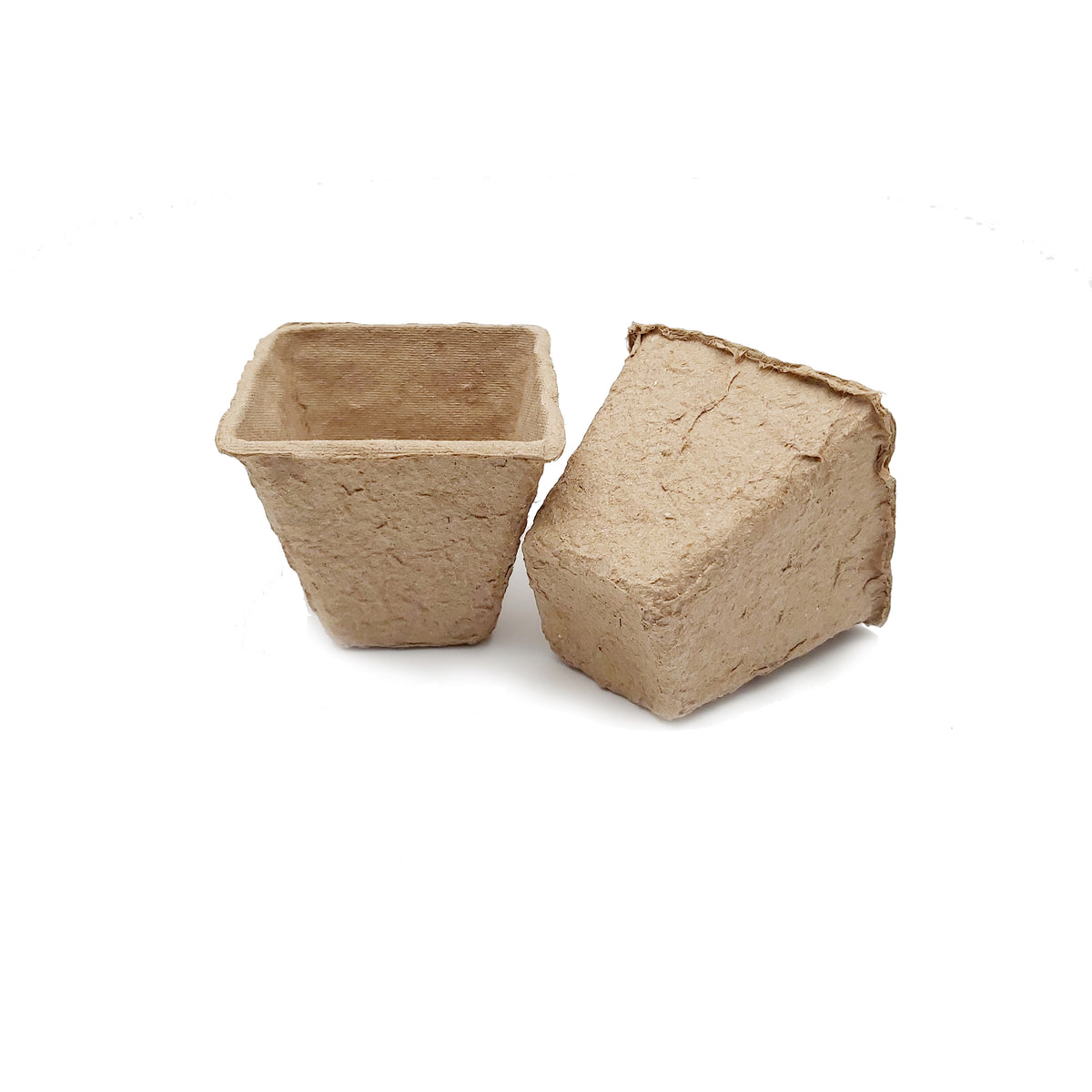 Ambassador Square Fibre Pots 6cm — Plant Pots Direct