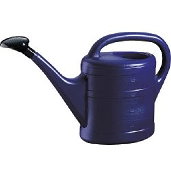 Essential Watering Can 5L Blue