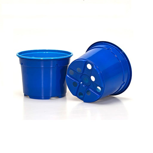 9cm Coloured Pot Duo 5° Low Pot - Blue (11) by Soparco