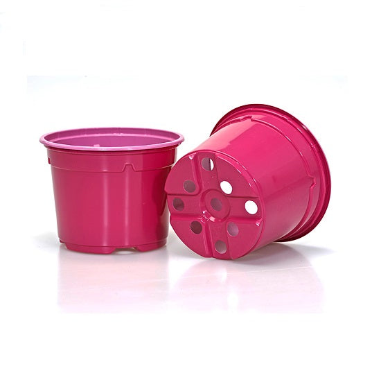 9cm Coloured Duo 5° Low Pot - Fuchsia (A1) by Soparco