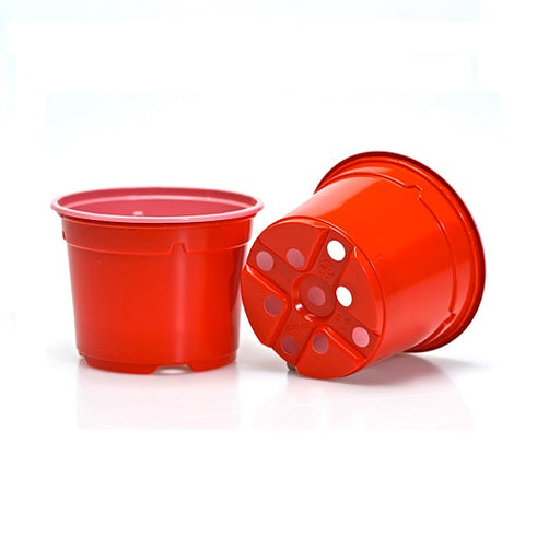 9cm Coloured Pot Duo 5° Low Pot - Red (AB) by Soparco