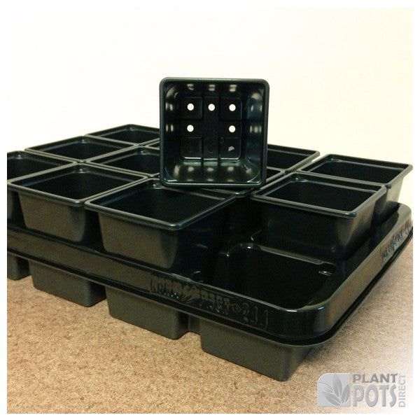 9cm Square plant pot set - 12 pots