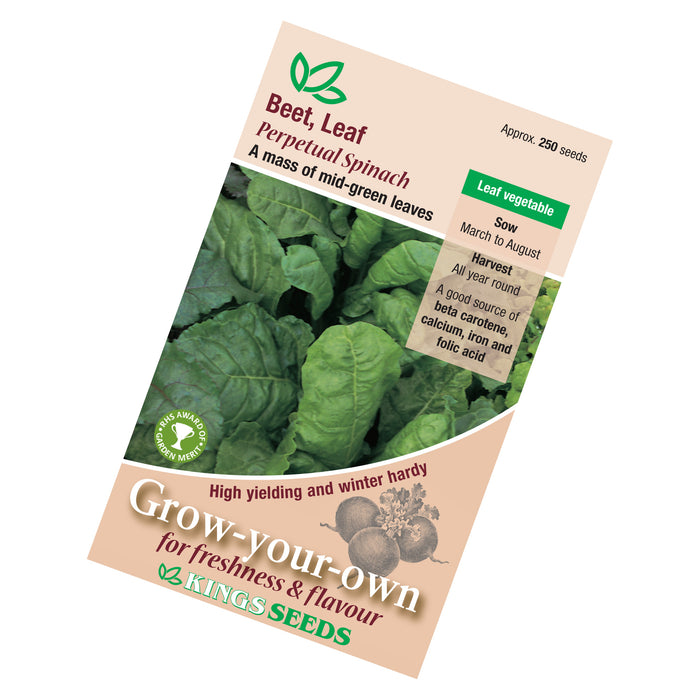 Beet Leaf Perpetual Spinach Seeds