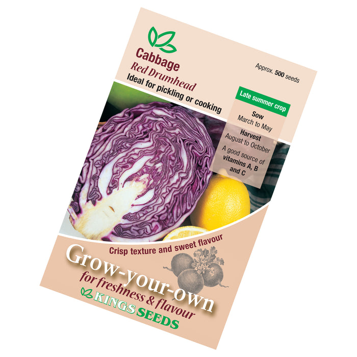 Cabbage Red Drumhead seeds