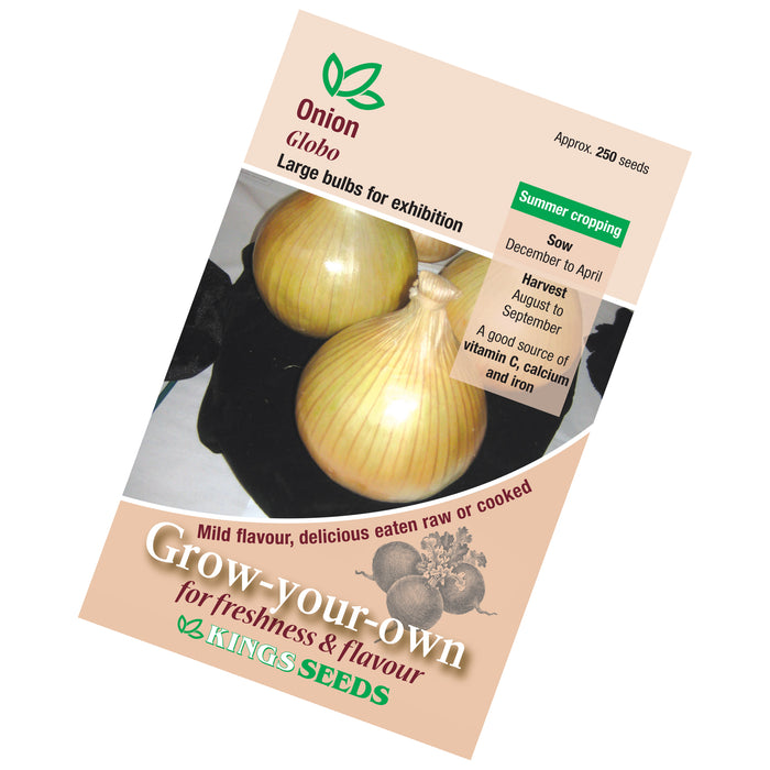 Onion Globo seeds