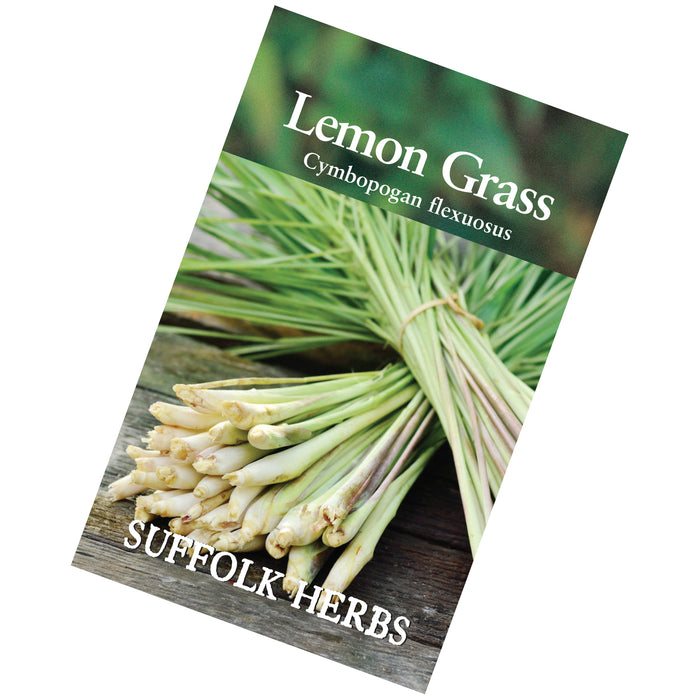Lemon Grass Seeds