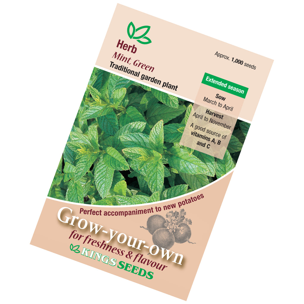 mint plant seeds for sale Green Mint seeds
