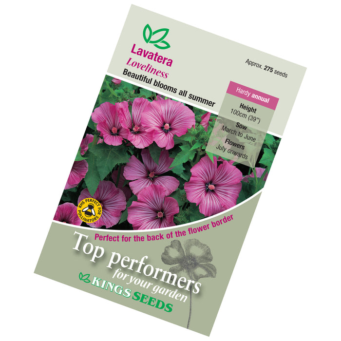 lavatera flower seeds Lavatera Loveliness Seeds — Plant Pots Direct